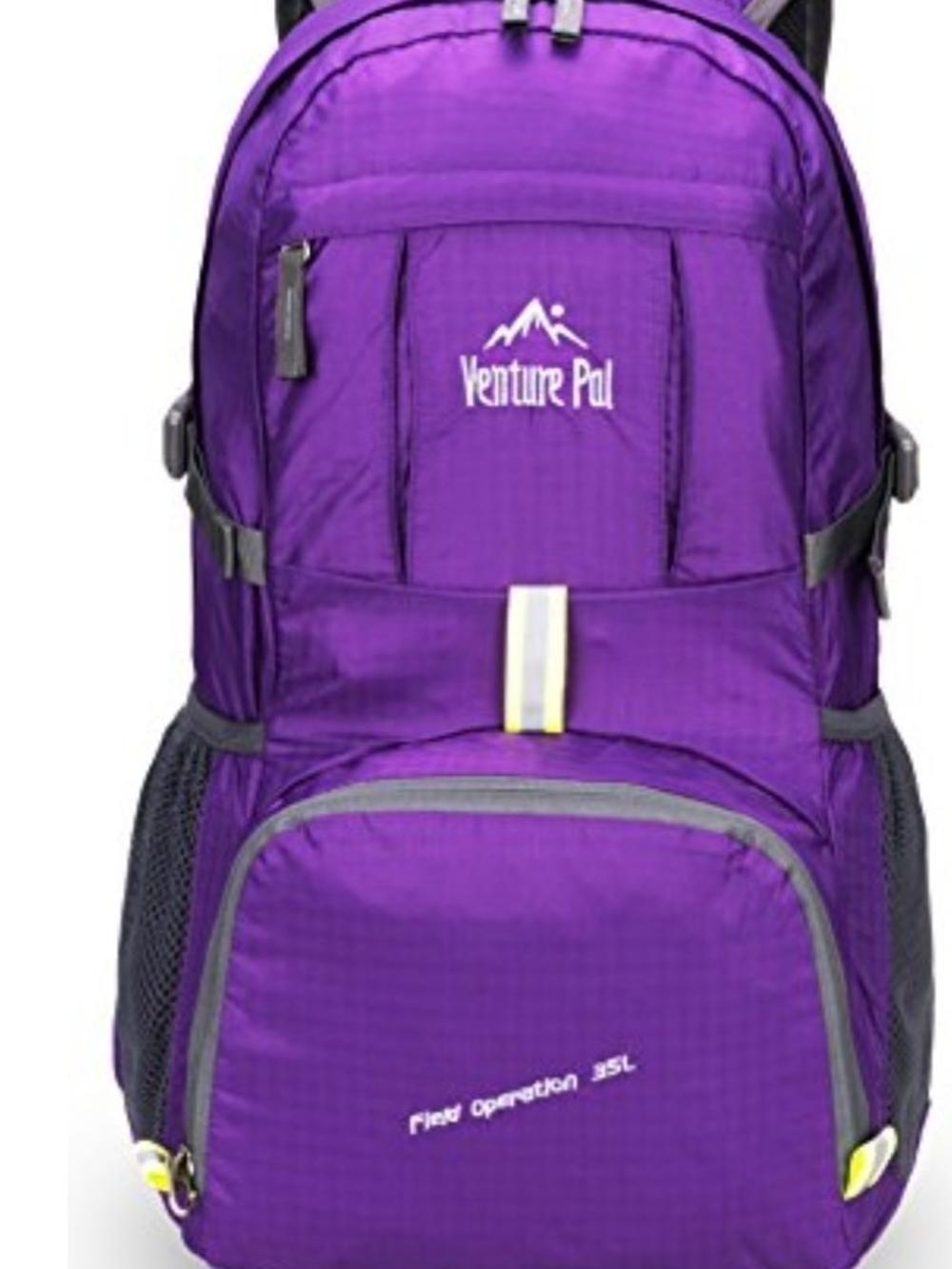 Purple Daypack Backpack - Lightweight Everyday Pack